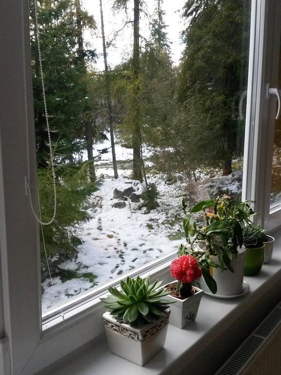 Celik Family Apartment Štrbské Pleso エクステリア 写真